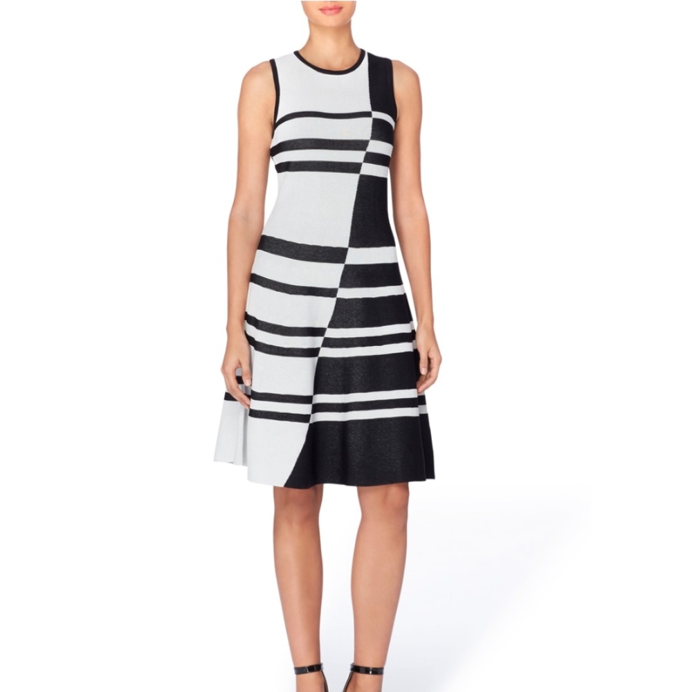 Knit Striped Jacquard Fit & Flare Sleeveless Dress